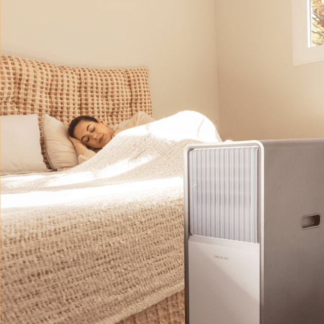 Cecotec ForceClima 12650 Style Heating
